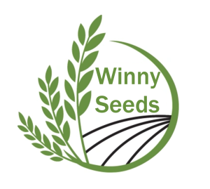Winny Seeds logo